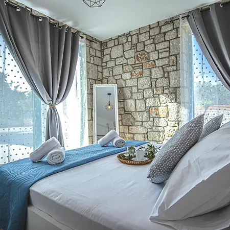 Anasa Rustic