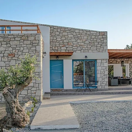 Anasa Rustic